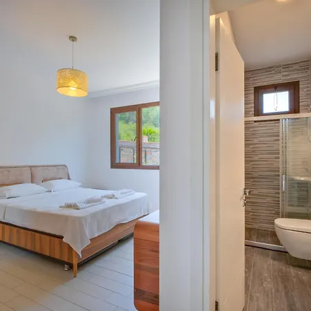 Vilă Albina Uzumlu (Aegean)