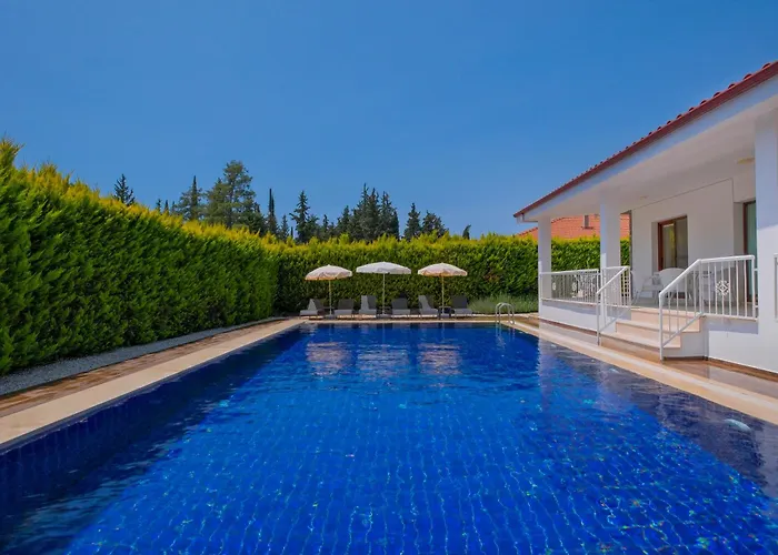 Albina Villa Üzümlü