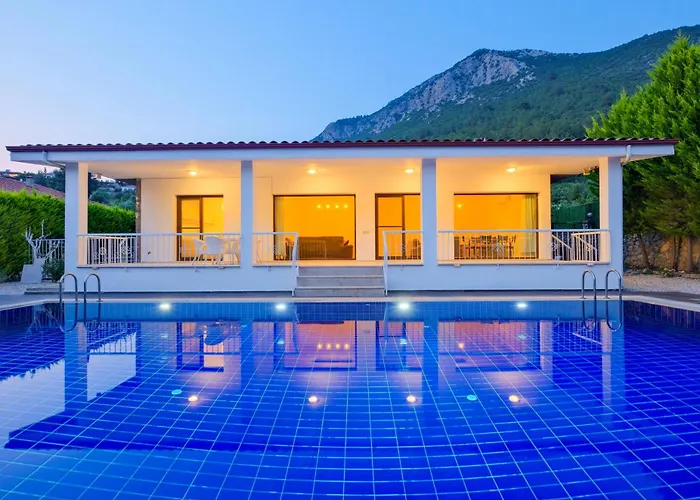 Albina Villa Üzümlü