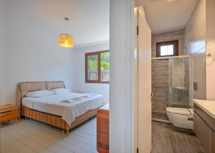 Villa Albina Uzumlu (Aegean)